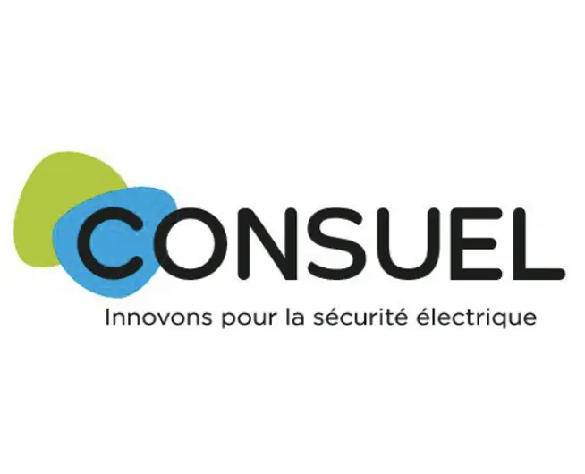 LOGO CONSUEL