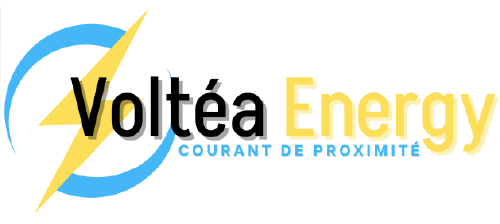 logo transparent voltea