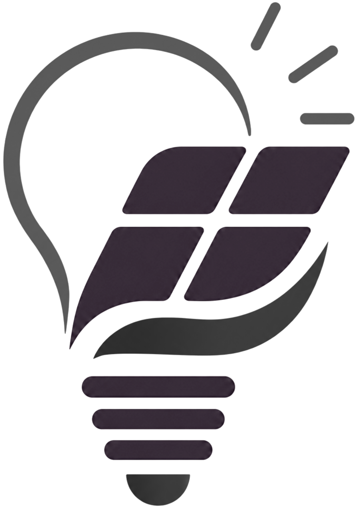 panneau solaire professionnel